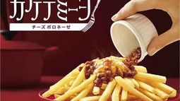 Batata frita com toque italiano - McDonalds